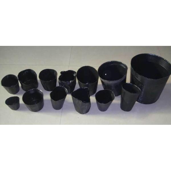 Dia цветочных горшков 6cm высокорослого поколения 9cm пластиковый повторно использовал баки питомника