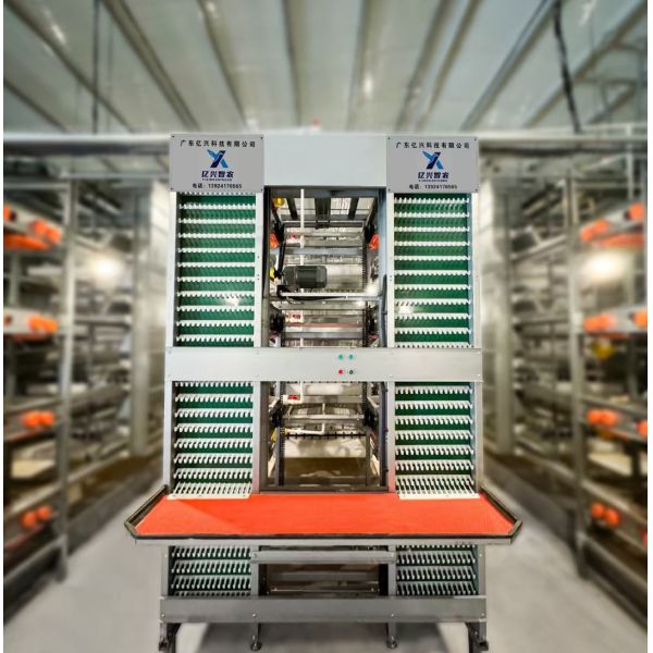 Low Breakage Rate Below 1 Percent Egg Collection System Multi Layer Efficient High Automation