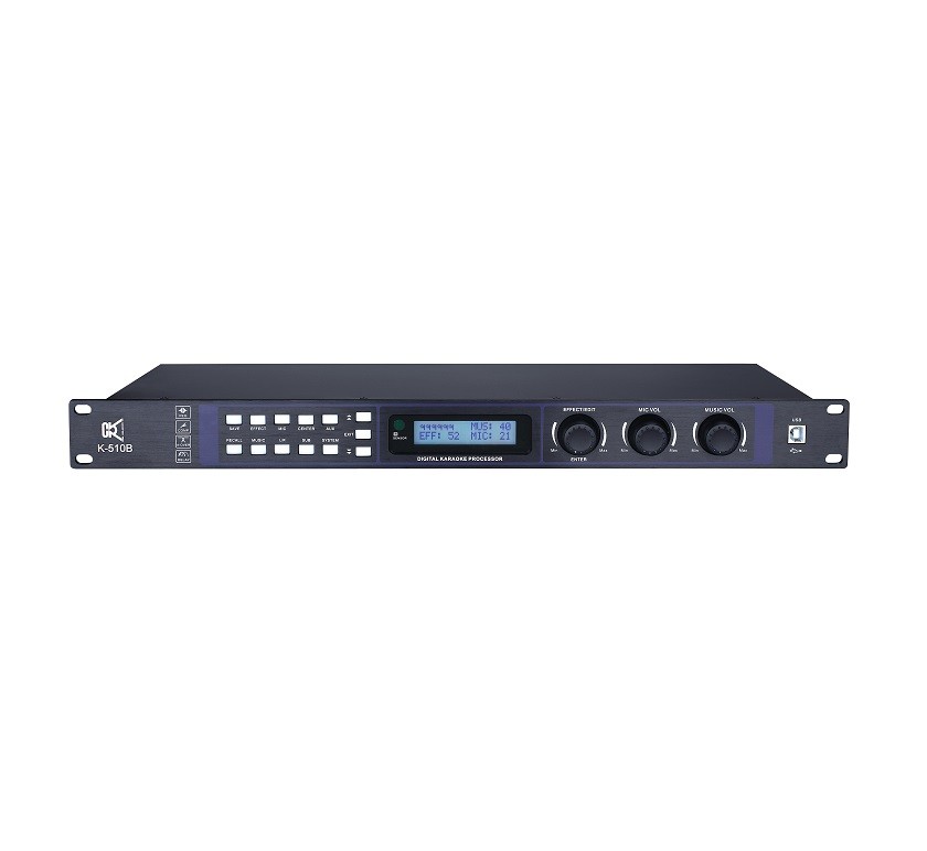 Wireless Microphone Receiver Digital Sound Processor Karaoke Speaker Management System