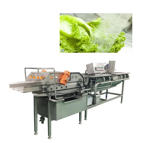 Commercial 304SUS Vortex Vegetable And Fruit Washing Machine For JY-4200