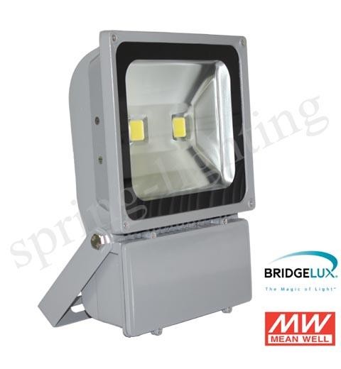 100W 120LM Portable LED FloodLights, High Lumen Waterproof IP65 LED Flood Lights