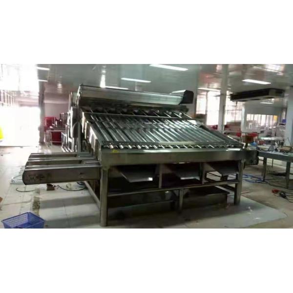 1Ton-5Ton Fish / Shrimp Grading Machine Shrimp/Fish Sorting Machine