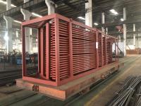Superheater da caldeira do MW CFB do poder 50 de ORL para a planta da indústria petroleira do vapor do petróleo