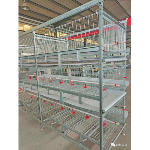 Galvanized Multi Poultry Broiler Cage Chicken Raising Automatic Breeding