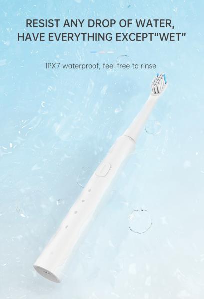 Wholesale mouth care products SN301 custom travel portable 3 Brushing modes Electric Toothbrush