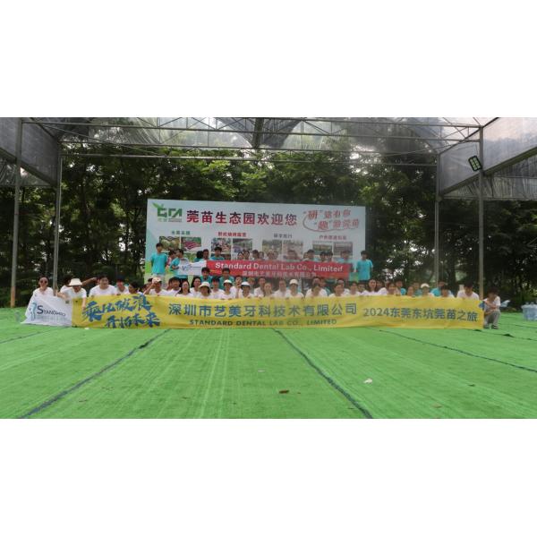 Высококачественная зубная цирконовая корона и All On Four Six Implant Full Arch / Китайская стоматологическая лаборатория