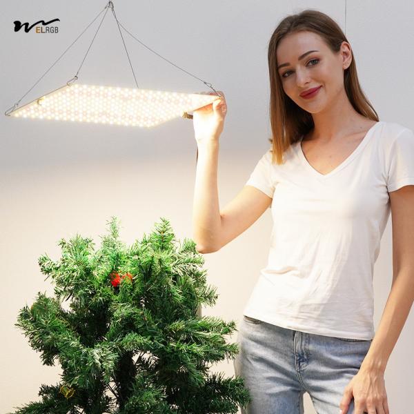225 perlas LED 8000lm 600W 1200W 2000W luz de crecimiento de las plantas para semillas de suculentas de invernadero