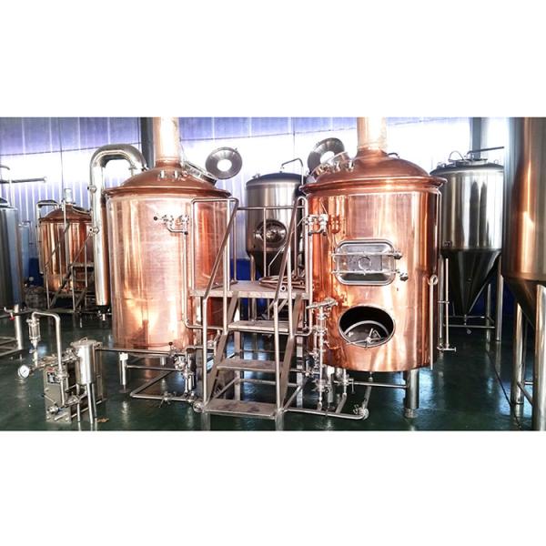Stainless Steel 304 Mini Brewing Equipment for Food Grade Processing and Fermenting