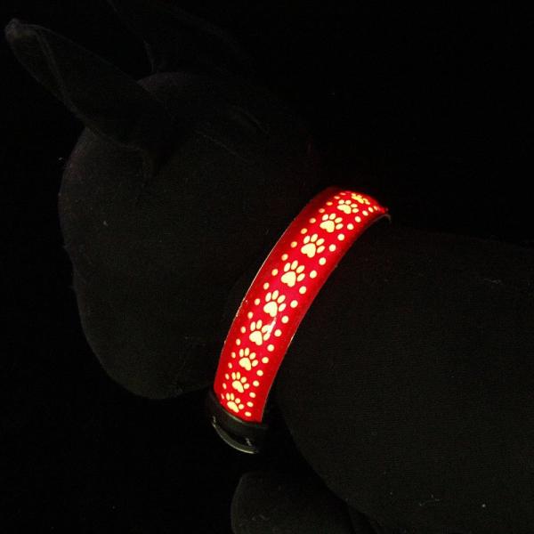 Recarregável ajustável de USB da coleira de cão do diodo emissor de luz personalizado para o cão Cat Night Safety