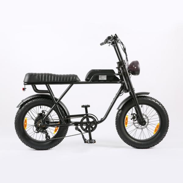 48V 1000W Fat Tyre Adult Electric Bicycle Vintage Mountain E Bike with 20 Inch Wheel