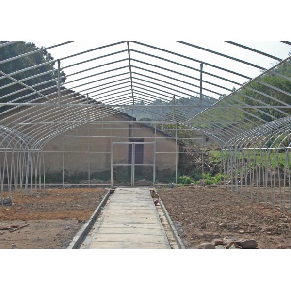 Plastic Heavy Duty Multi Span Greenhouse Suitable For Agricultural Planting