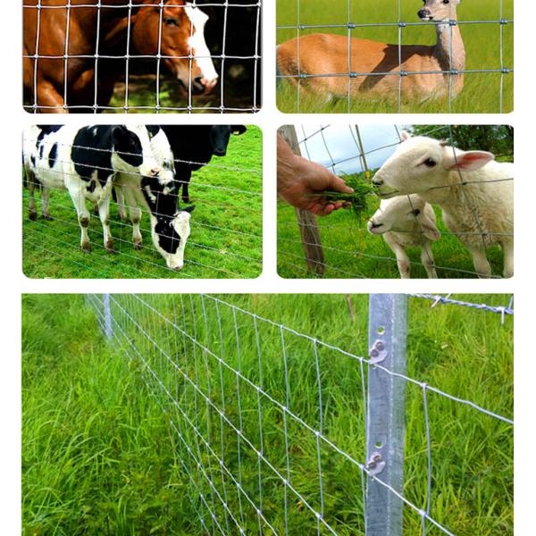 Galvanised Rural Farm 200m Roll Woven Wire Field Fence