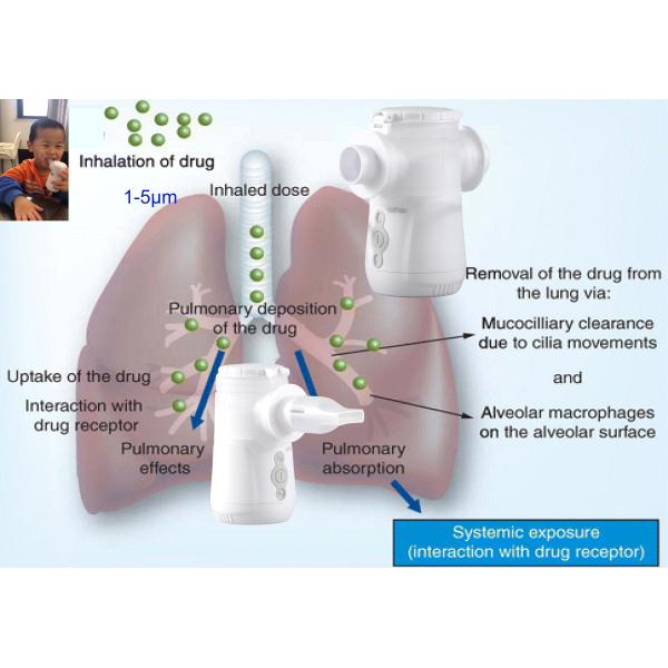 Сурдинка технологии Nebulizer сетки вибрировать бронхиолита 3μM для детей