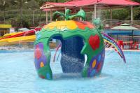 Customized Colorful Carp Spray Aqua Park Equipment For Children / Kids Fun in Swimming Pool