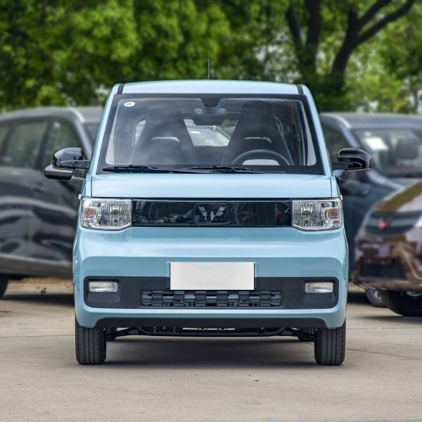 E100 E300 Ev Electric Car
