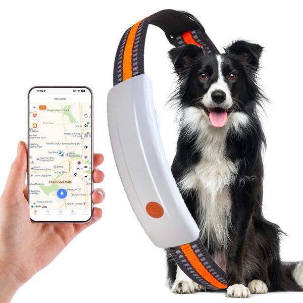 GPS Dog Tracking Collar with Electronic Fence and Heart Rate Monitor