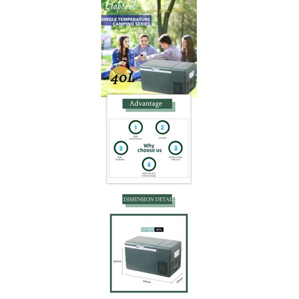 Refrigerador de auto portátil de 12 V para minicampeo R134a/R600a