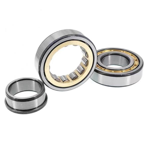 Oil Grease Lubrication N319EM Brass Cage Roller Bearing N319 for High Load Capacity