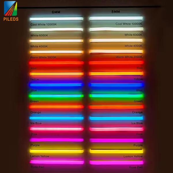 Luces de neón LED para aplicaciones de paisaje de 12V con material de silicona flexible y bombillas SMD 2835 para uso en exteriores