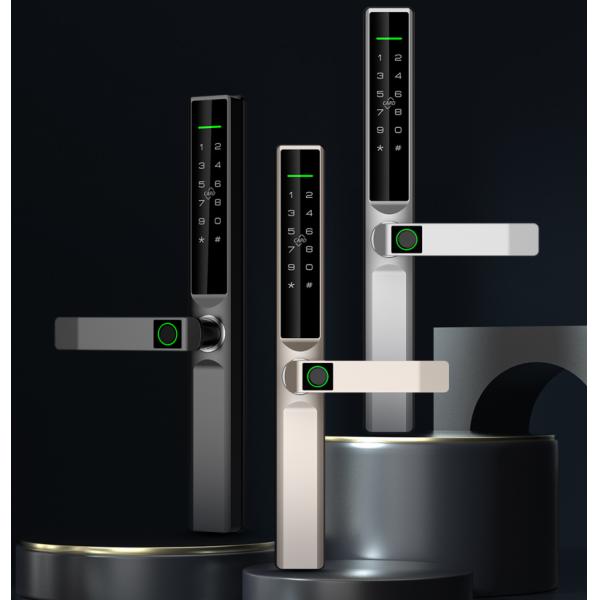 TTlock Tuya Автоматический дверной замок дома ROHS Квартира спальня дверной замок