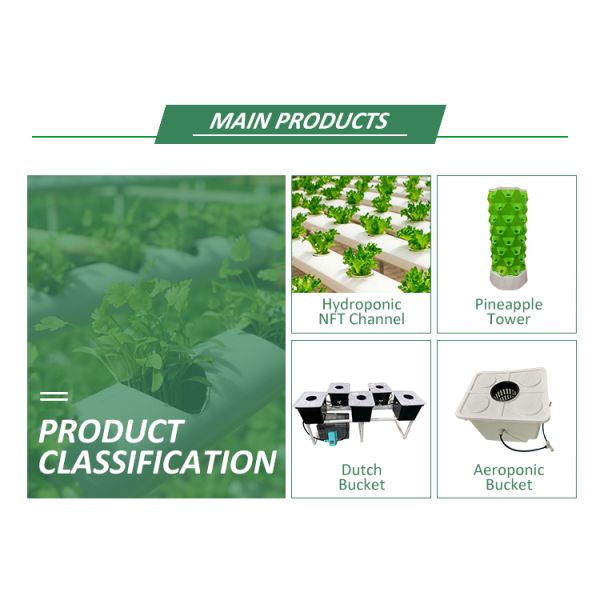 Vertical Soilless Cultivation Planting Lettuce Hydroponic System Indoor Ebb Flow Hydroponics Growing System