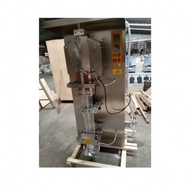 New Arrival Liquid Bag Packing Machine/Pouch Packing Machine/Cream Filling Machine