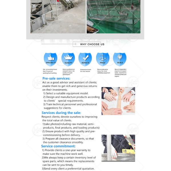 potato chip and french fries quick frozen production line