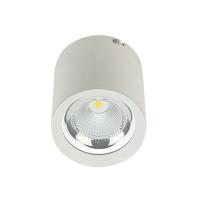 Alumínio 20° 45° Superfície redonda montada Downlight 2700K-6500K