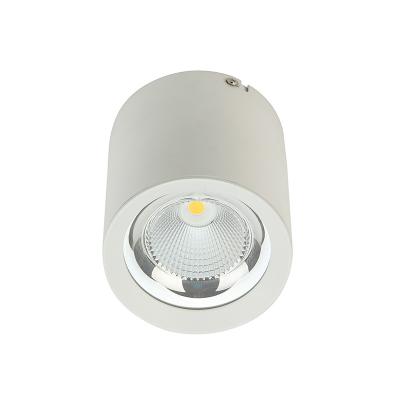 Aluminum 20° 45° Round Surface Mounted Downlight 2700K-6500K