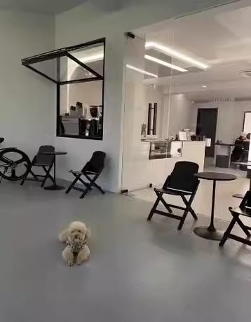 Alloy Household Aluminum Window Black Modern Aluminium Window Design Aluminium Bifolding Window