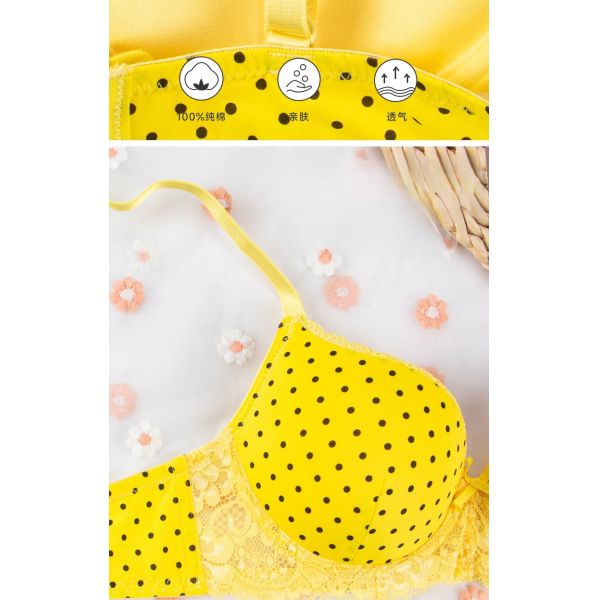 Thin Cup Lace Women Underwear Breathable and Comfortable Small Chest Gathered Ladies Bra Wholesale