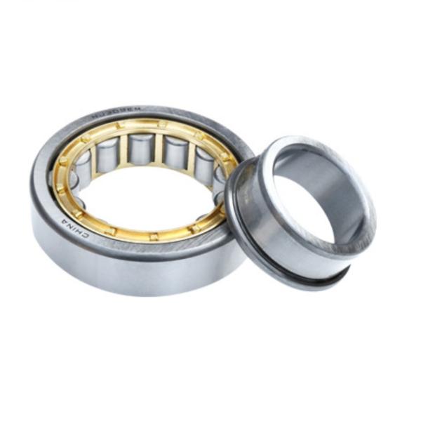 Full Complement Cylindrical Roller Bearings NJ205 NJ220 NJ200 Series