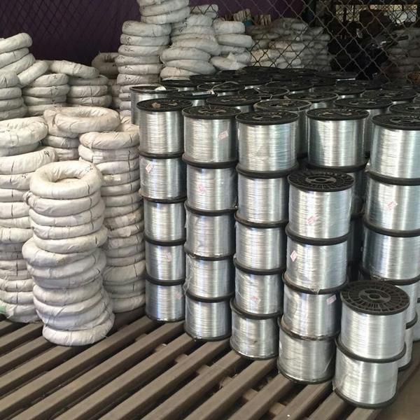 ASTM SS Steel Strip 409 430 In Coil For Stamping Forming