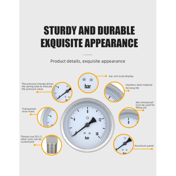 OEM Supported Universal 100mm 1.6% Full ss Manometer Pressure Gauge for Gas and Liquid