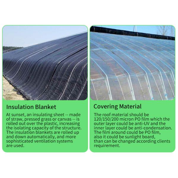 Автоматическая циркуляция воздуха Солнечные пассивные теплицы на заказ