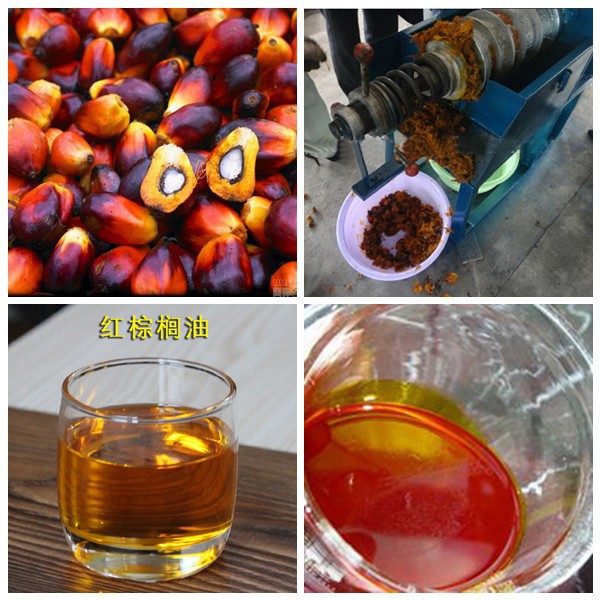 Small Palm Fruit Oil Expeller 300-500kg/hour Palm Oil Press for Oil Extraction