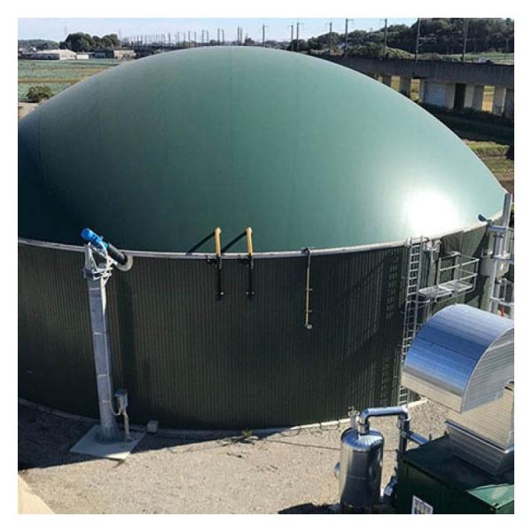 Movable Organic Waste Tank With Anti Corrosive Spray Paint And On Site Installation