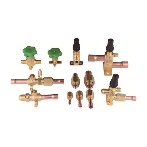Pressure 6.3 Fluorine Refrigerant Adapter Fitting Without Leakage DN1-DN5