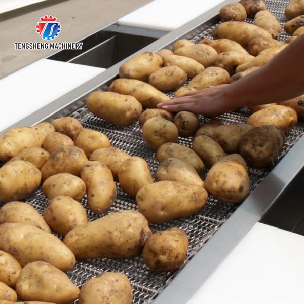 Spot vegetable sorting equipment commercial vegetable and fruit sorting table food factory line selection table