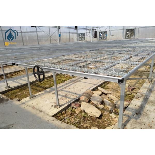 Agricultural Greenhouse Rolling Benches Indoor / Outdoor Greenhouse Rolling Tables