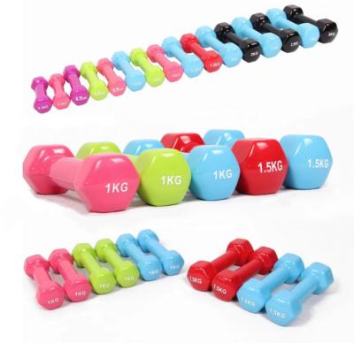 Cast Iron Neoprene Fitness Dumbbell Vinyl Dipped Dumbbells For Weight Exercise