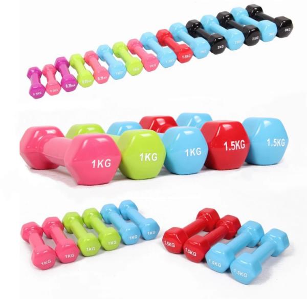 Cast Iron Neoprene Fitness Dumbbell Vinyl Dipped Dumbbells For Weight Exercise