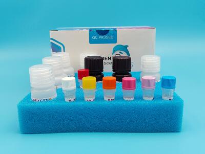 Sensitive Aflatoxin M1 ELISA Test Kit for 0-50ppm Screening at 2-8C and Accurate