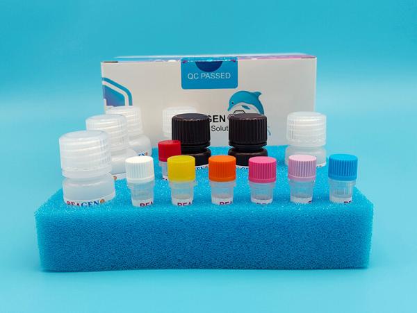 Highly Sensitive Dairy Milk Testing Kit for Precise Plastic Sensitivity