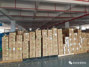 Shenzhen Siesi Electric Co., Ltd