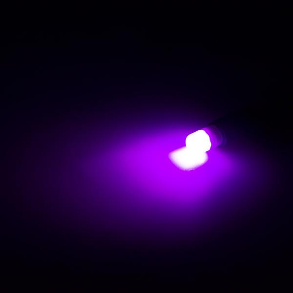 Car LED Light Bulbs For Home / Door Courtesy / Parking Lights Automotive/led small bulbs