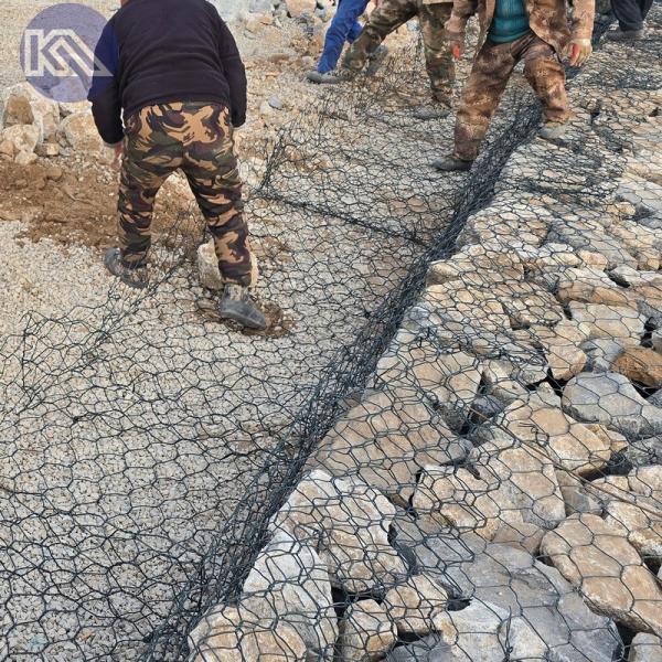 Le réseau de fil d'acier revêtu en PVC et les paniers en gabion personnalisés pour une conservation fiable de l'eau et des solutions environnementales