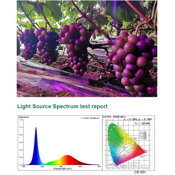 Тепличные насаждения 36W/50W полный спектр светодиодный свет с высокой световой эффективностью
