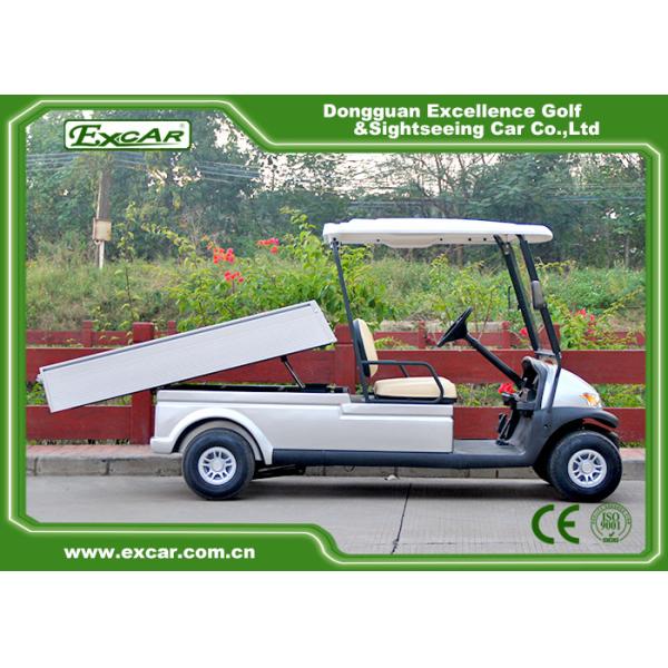 Новая энергия 2 Seater 4 автомобиля гольфа колеса шасси электрических стальных с грузом