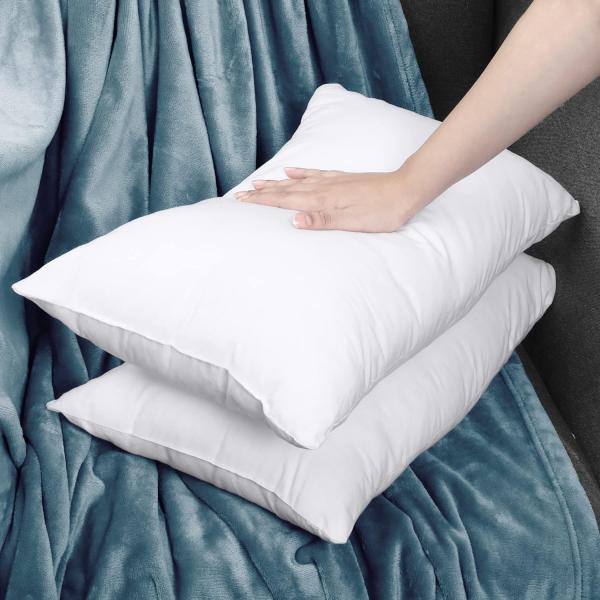Indoor Decorative Pillows 20 x 26 Inches Bedding Throw Pillows Insert Pack of 2 White
